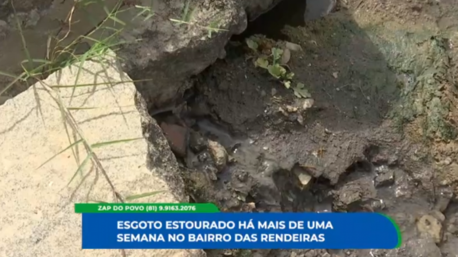 Esgoto estourado prejudica moradores de bairro em Caruaru - TV Jornal