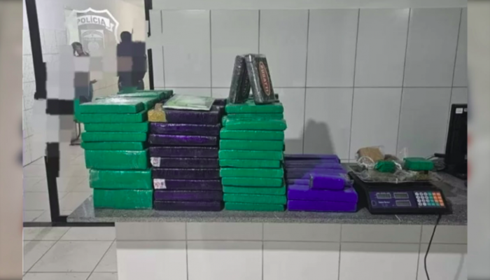 Imagens dos objetos apreendidos a Operação - TV Jornal