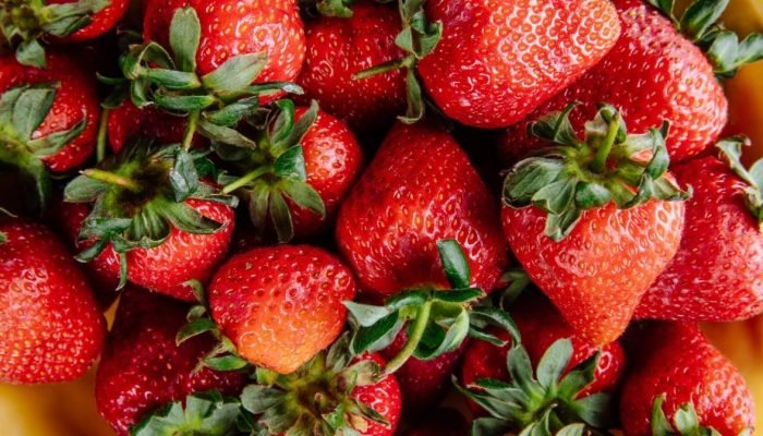 A programação, que conta com feira gastronômica e de artesanato, shows, sessões de cinema e m...