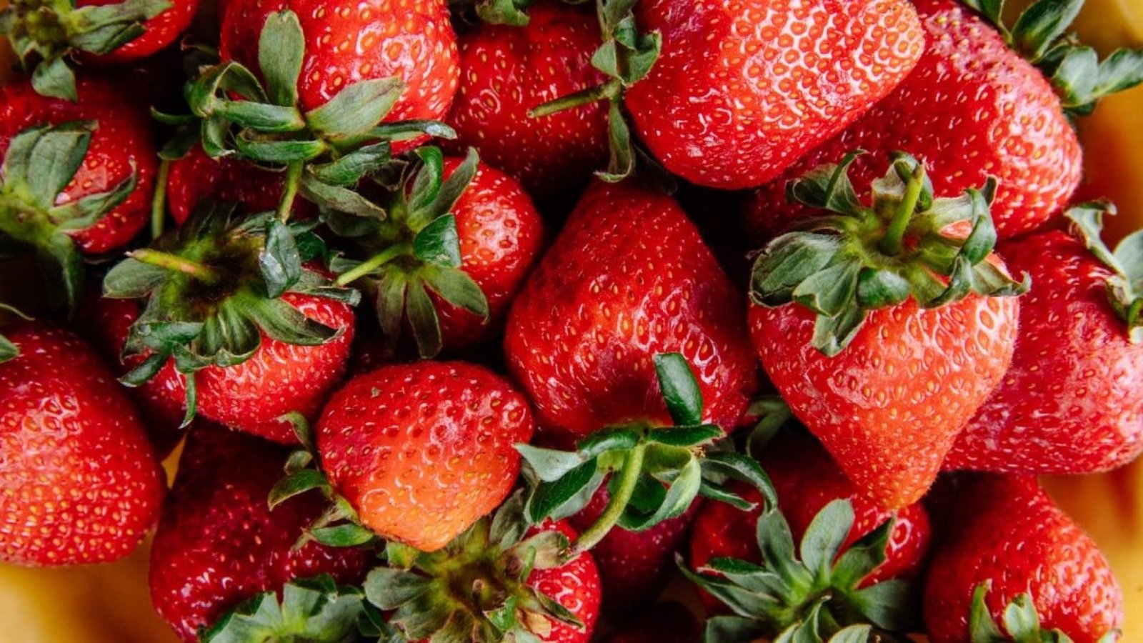 A programação, que conta com feira gastronômica e de artesanato, shows, sessões de cinema e m...