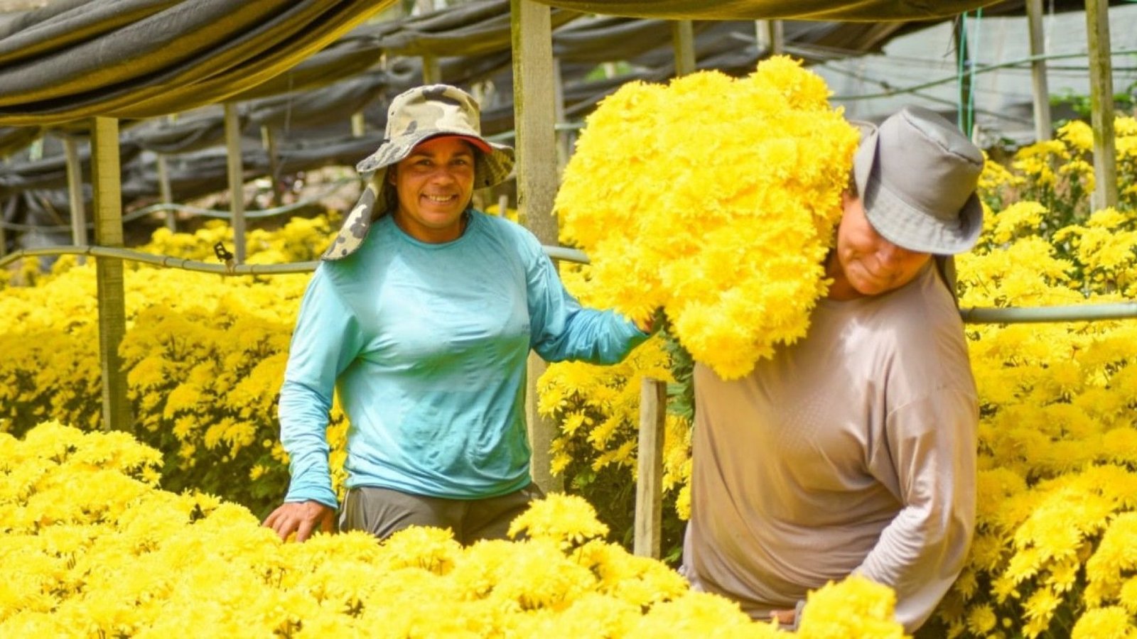 O tema desta edição, "Flores de Gravatá", foi escolhido para homenagear a força da floricultu...