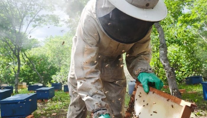Sete produtores rurais devem ser agraciados - Fernando Cavalcante