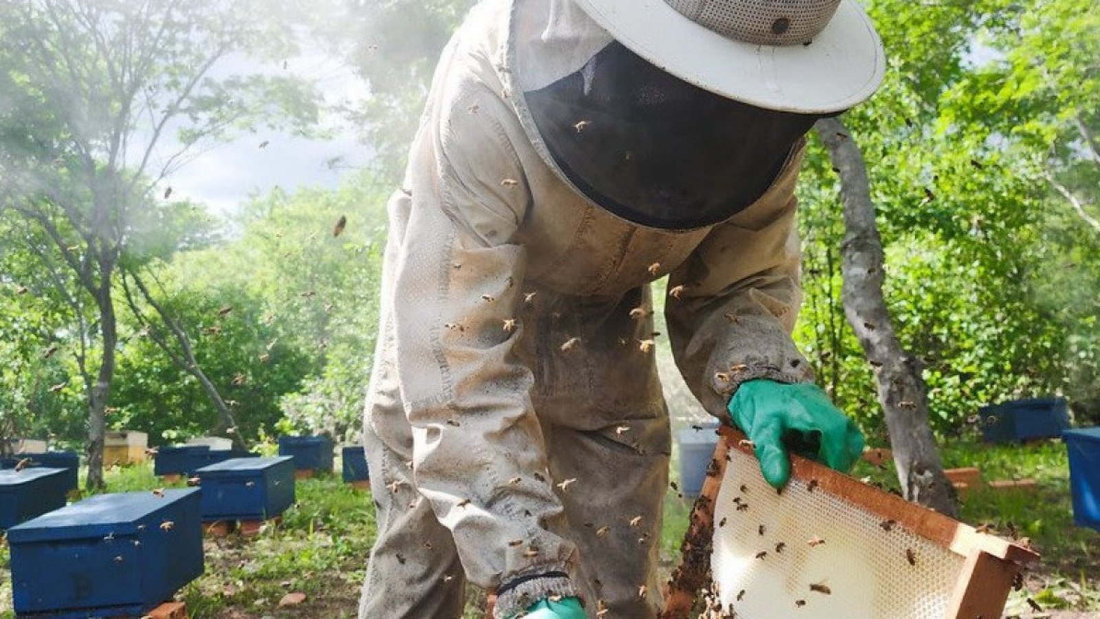 Sete produtores rurais devem ser agraciados - Fernando Cavalcante