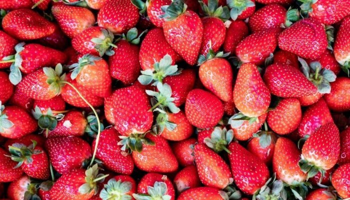 3º Festival do Morango movimenta Brejo da Madre de Deus neste fim de semana - Divulgação