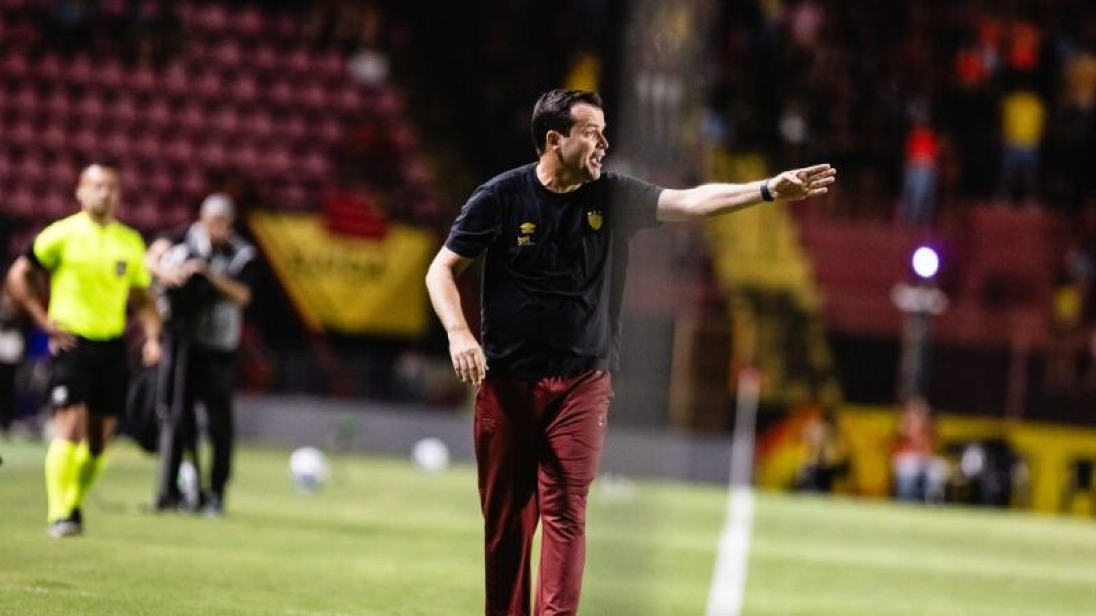 Daniel Paulista, técnico do Sport - Foto: Paulo Paiva/SCR
