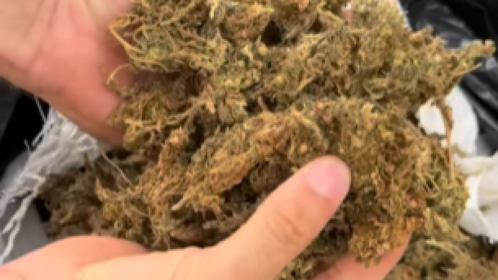 Portal Correio – Notícias da Paraíba e do Brasil