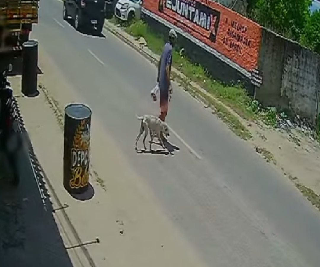 (Imagens de câmera de segurança)