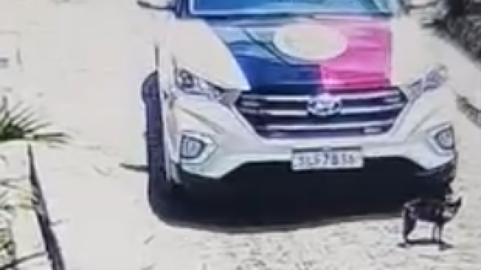 Portal Correio – Notícias da Paraíba e do Brasil