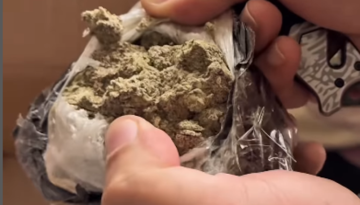 O homem foi encominhado para a Cidade da Polícia Civil, onde deve passar por uma audiência de c...