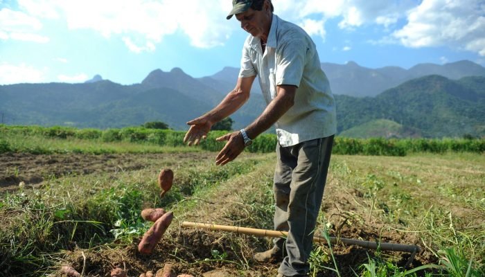 © Tomaz Silva/Agência Brasil