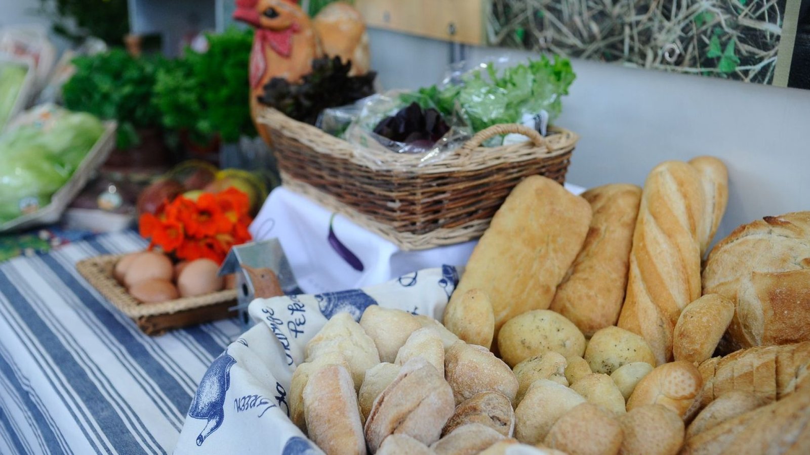 © Fernando Frazão/Agência Brasil