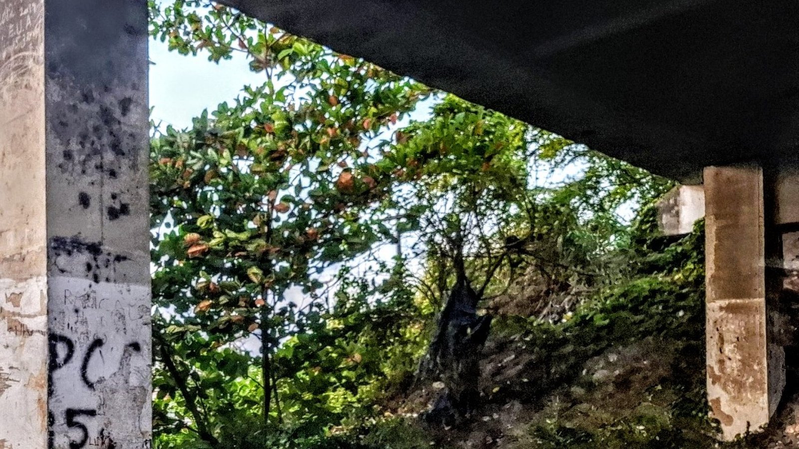 Pichação sob viaduto em João Pessoa é a parte mais superficial do terror contra comunidades h...