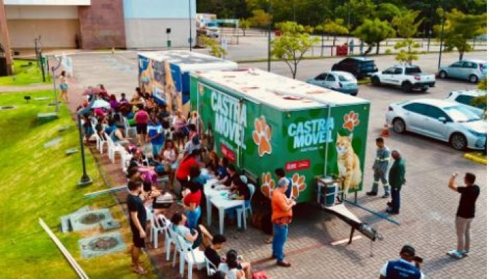 Castração de gatos conta com 200 fichas por tutor, no bairro de Mangabeira, em João Pessoa.. P...