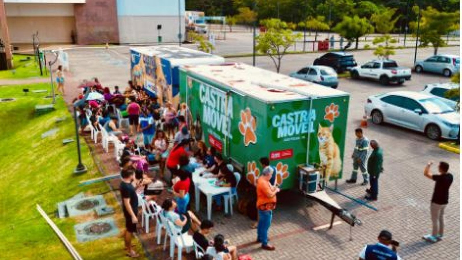 Castração de gatos conta com 200 fichas por tutor, no bairro de Mangabeira, em João Pessoa.. P...