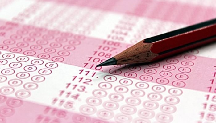 Freepik/Reprodução. Foto: Freepik/Reprodução