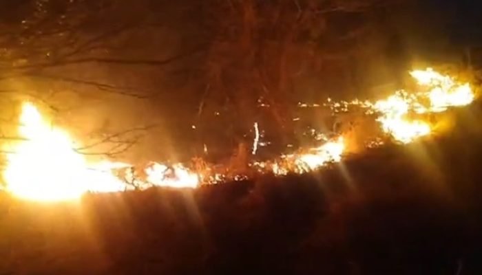 Incêndio na vegetação da Caatinga atingiu Vale dos Dinossauros, no Sertão.. Foto: Reproduçã...