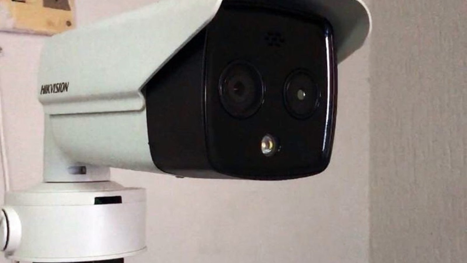 Divulgação. Foto: Divulgação