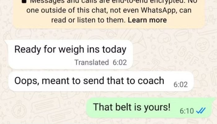 Tradução do WhatsApp: saiba como ativar a nova atualização do aplicativo. Divulgação / Meta