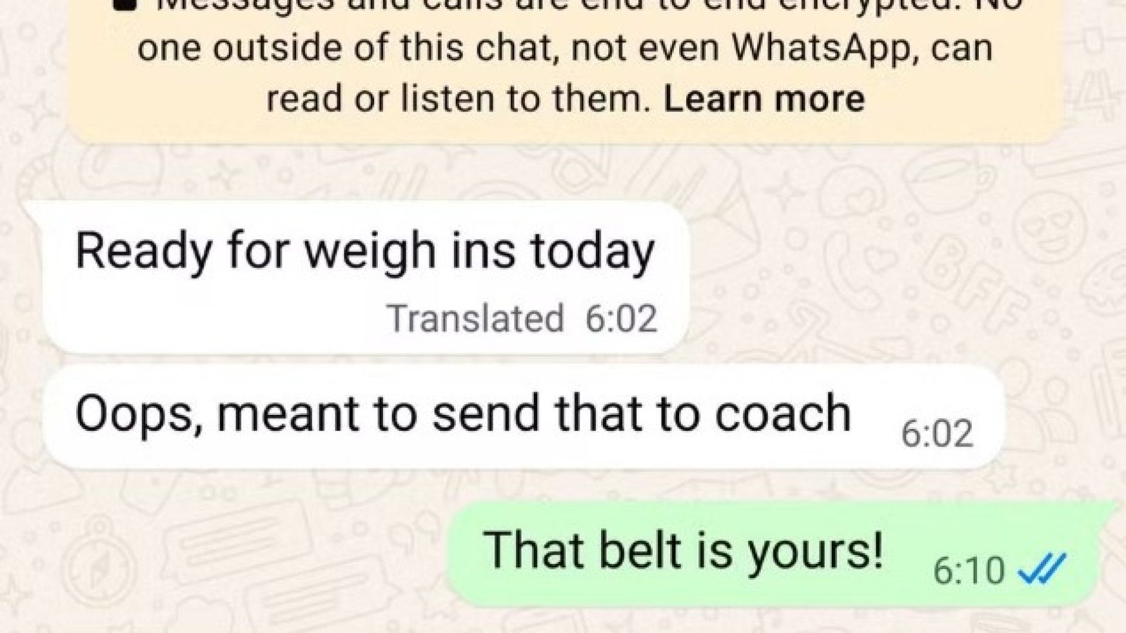 Tradução do WhatsApp: saiba como ativar a nova atualização do aplicativo. Divulgação / Meta