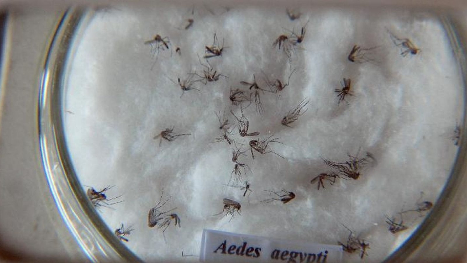 © Arquivo/Agência Brasil