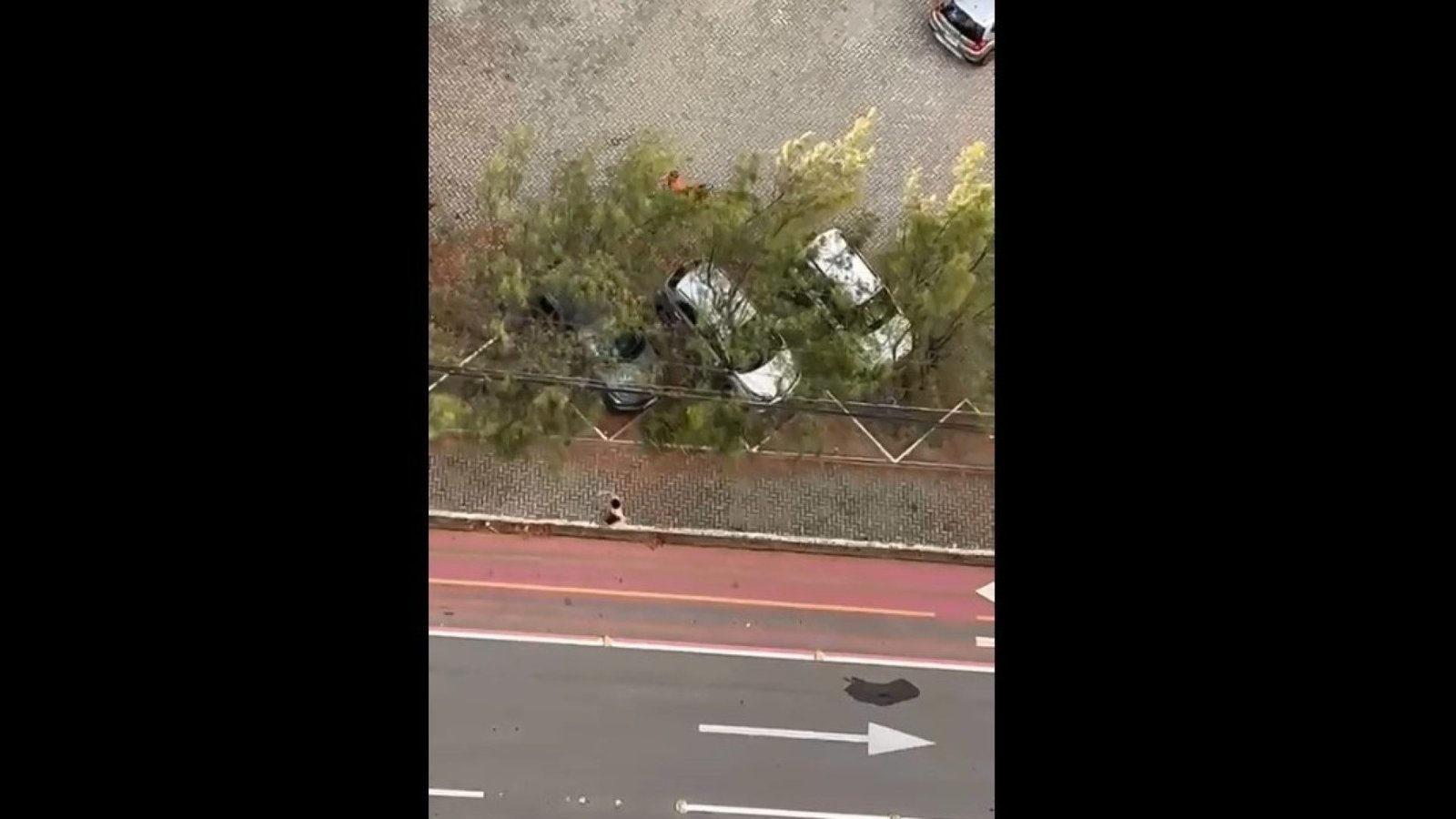 Portal Correio – Notícias da Paraíba e do Brasil