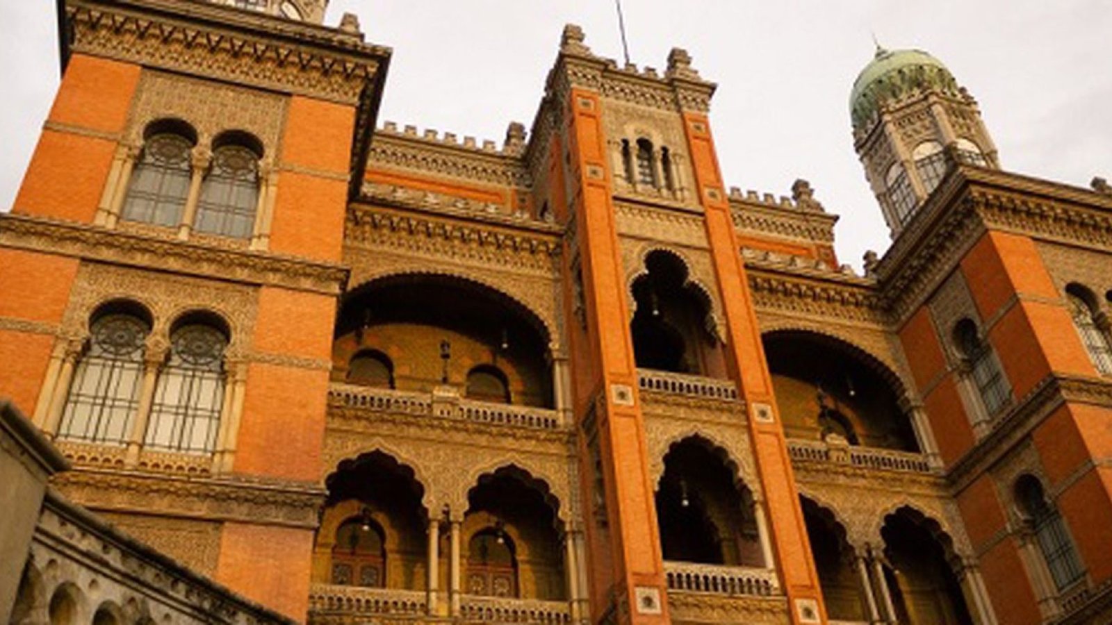 © Rodrigo Méxas/Fiocruz