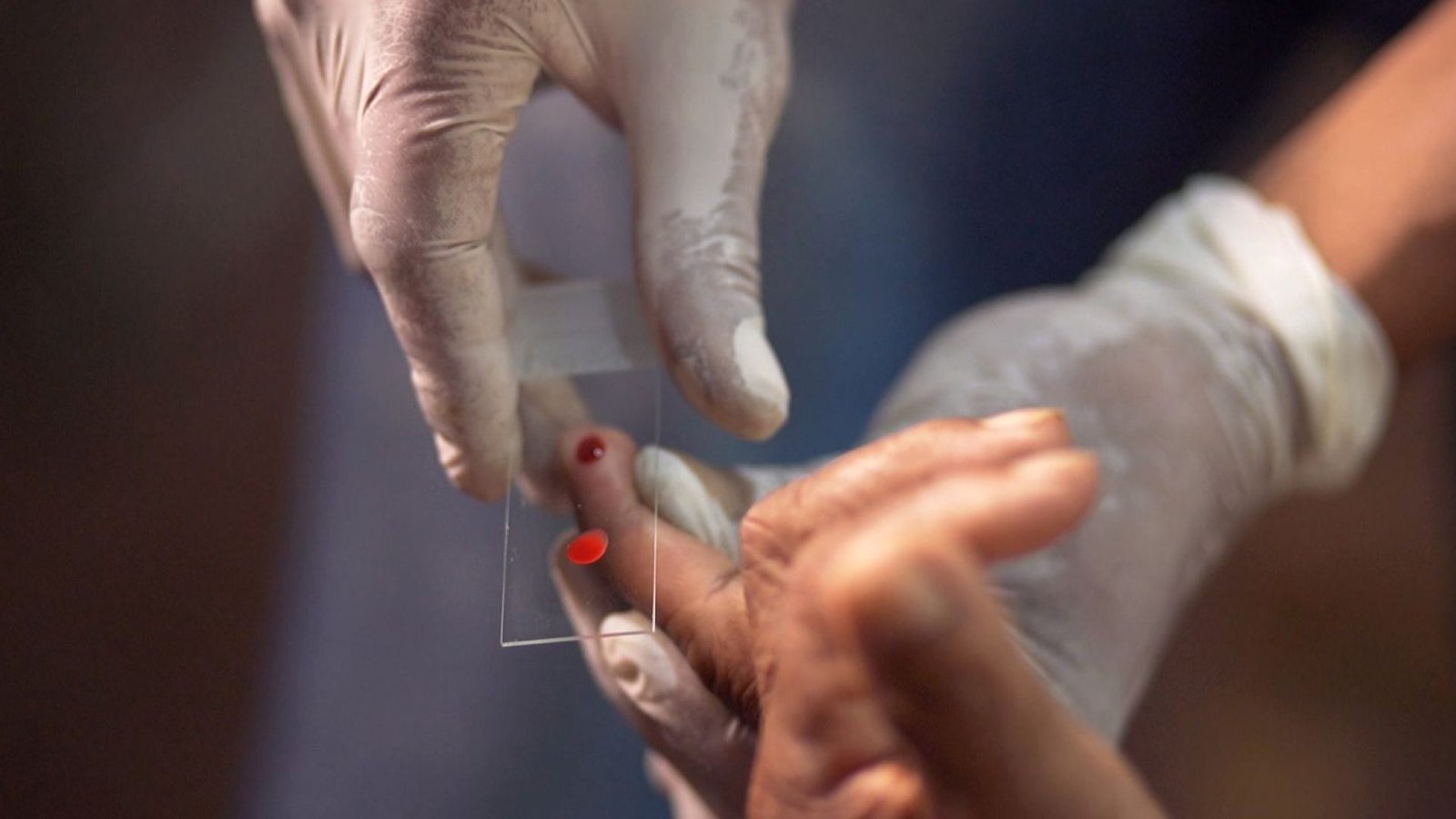 © TV Brasil/Reprodução