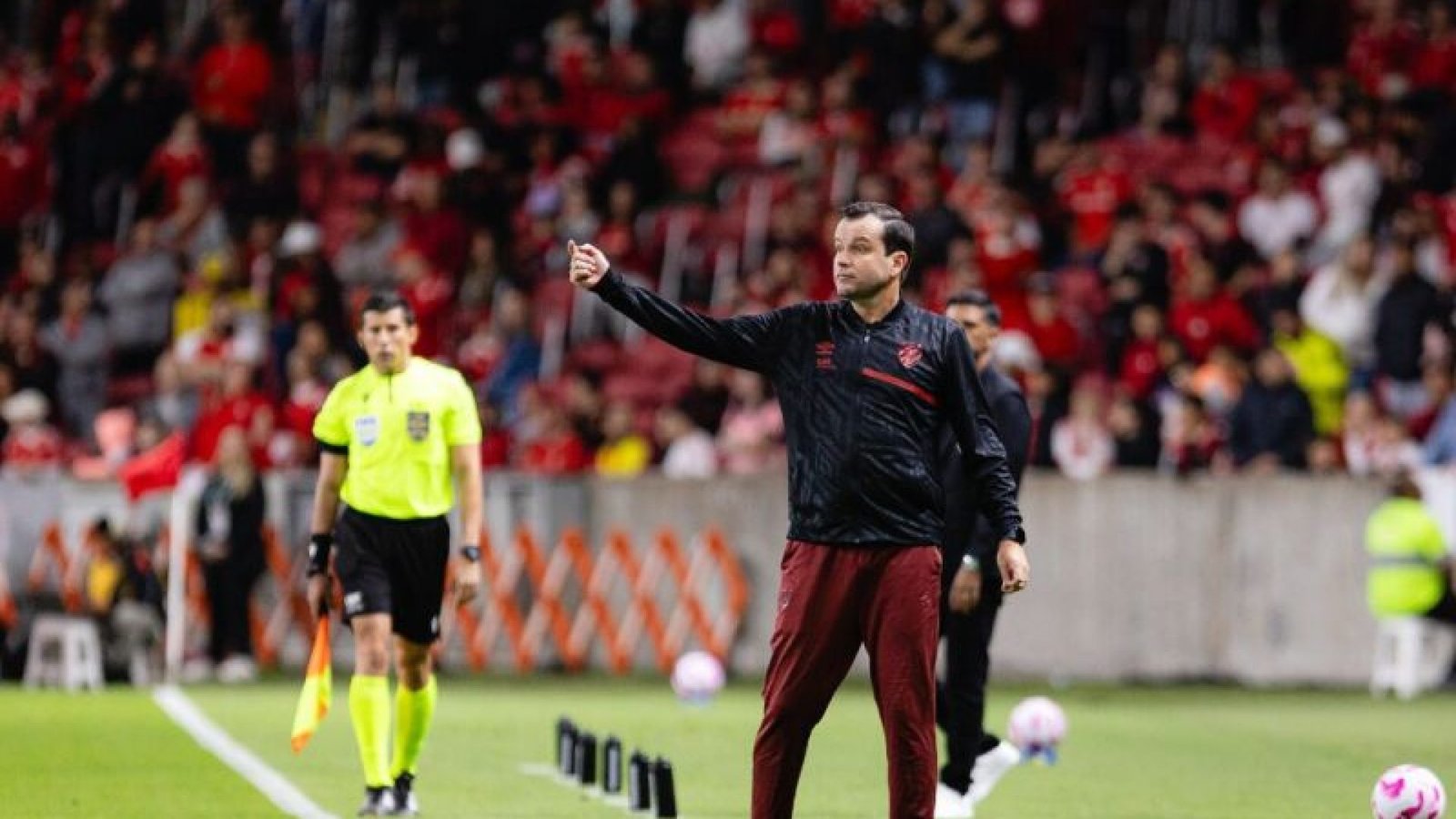 Daniel Paulista, técnico do Sport - Foto: Paulo Paiva/SCR