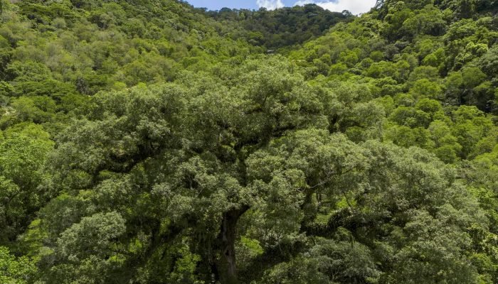 © Fernando Frazão/Agência Brasil