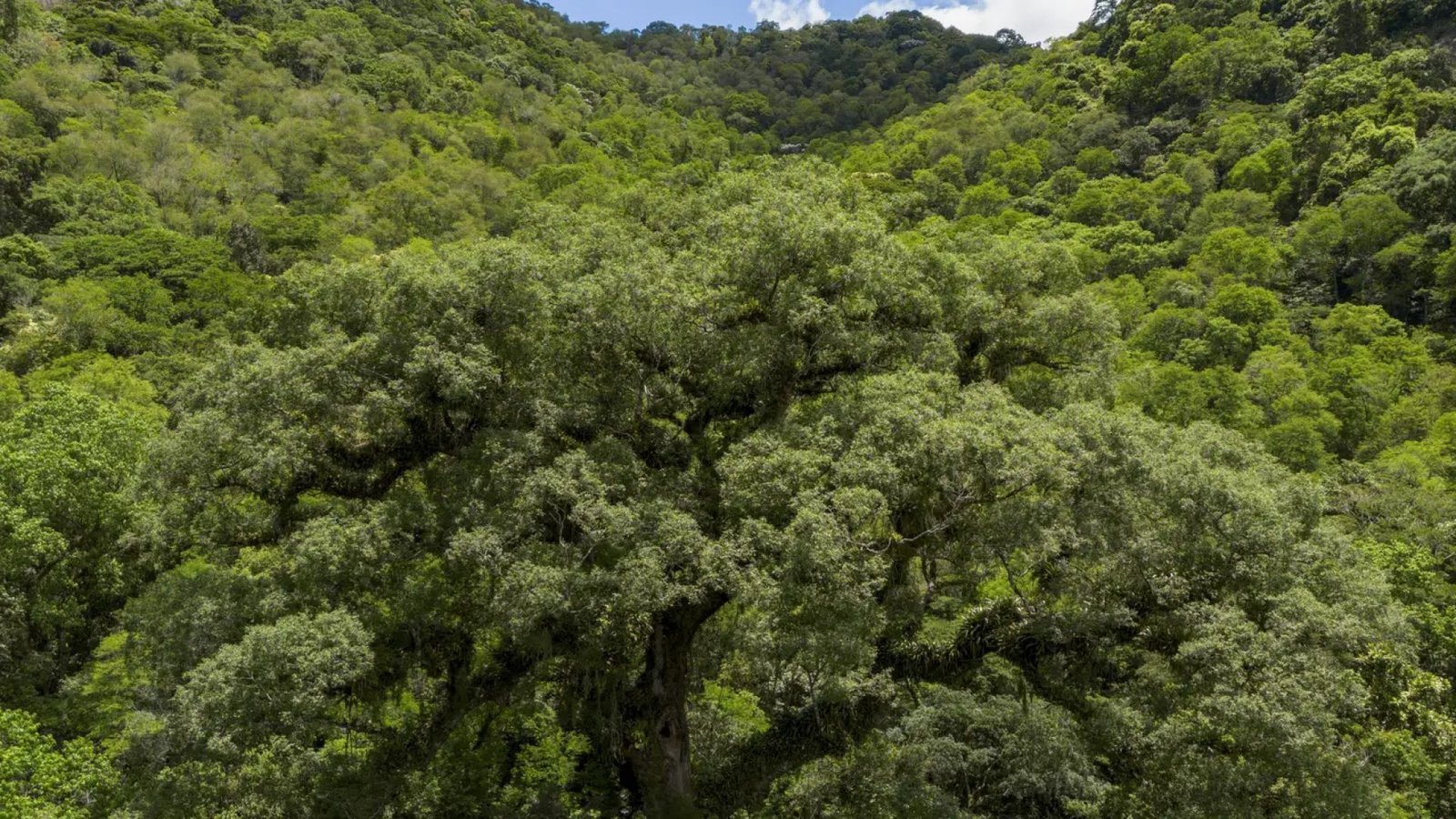 © Fernando Frazão/Agência Brasil