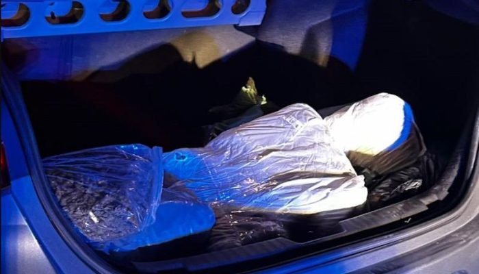 (Polícia Militar/Divulgação)