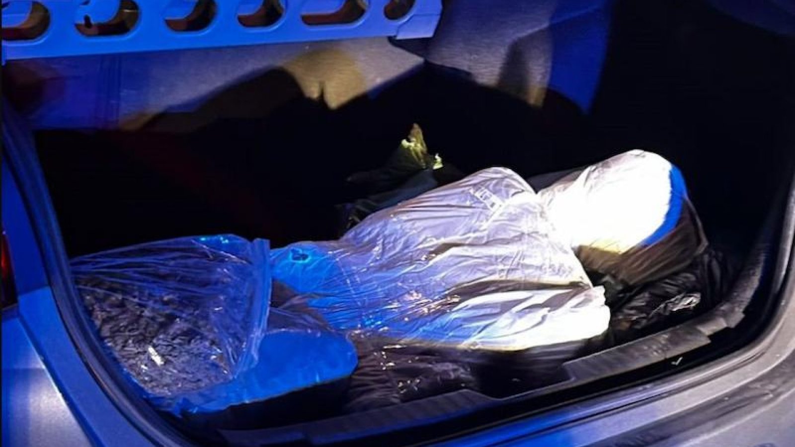 (Polícia Militar/Divulgação)