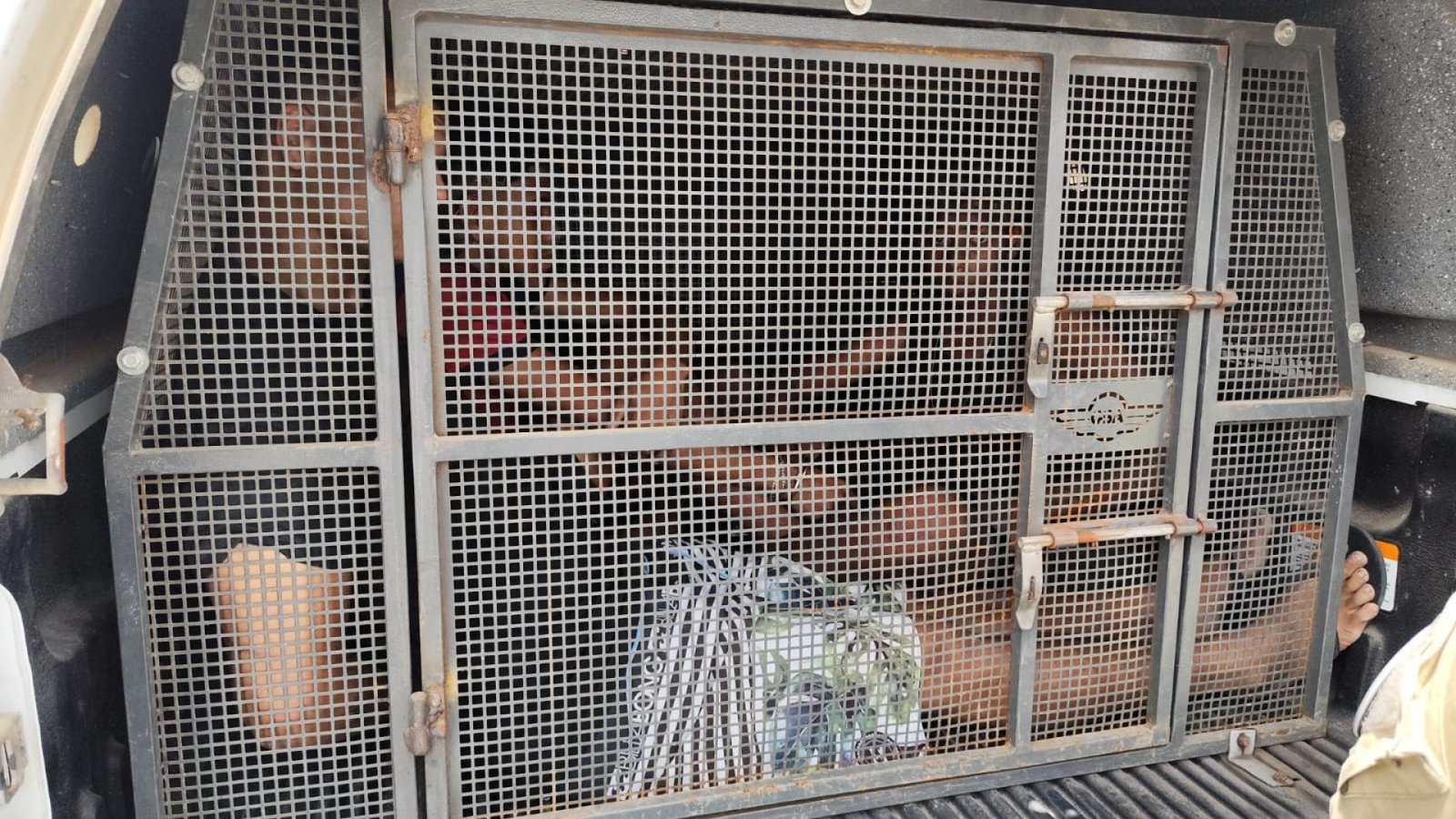 Portal Correio – Notícias da Paraíba e do Brasil