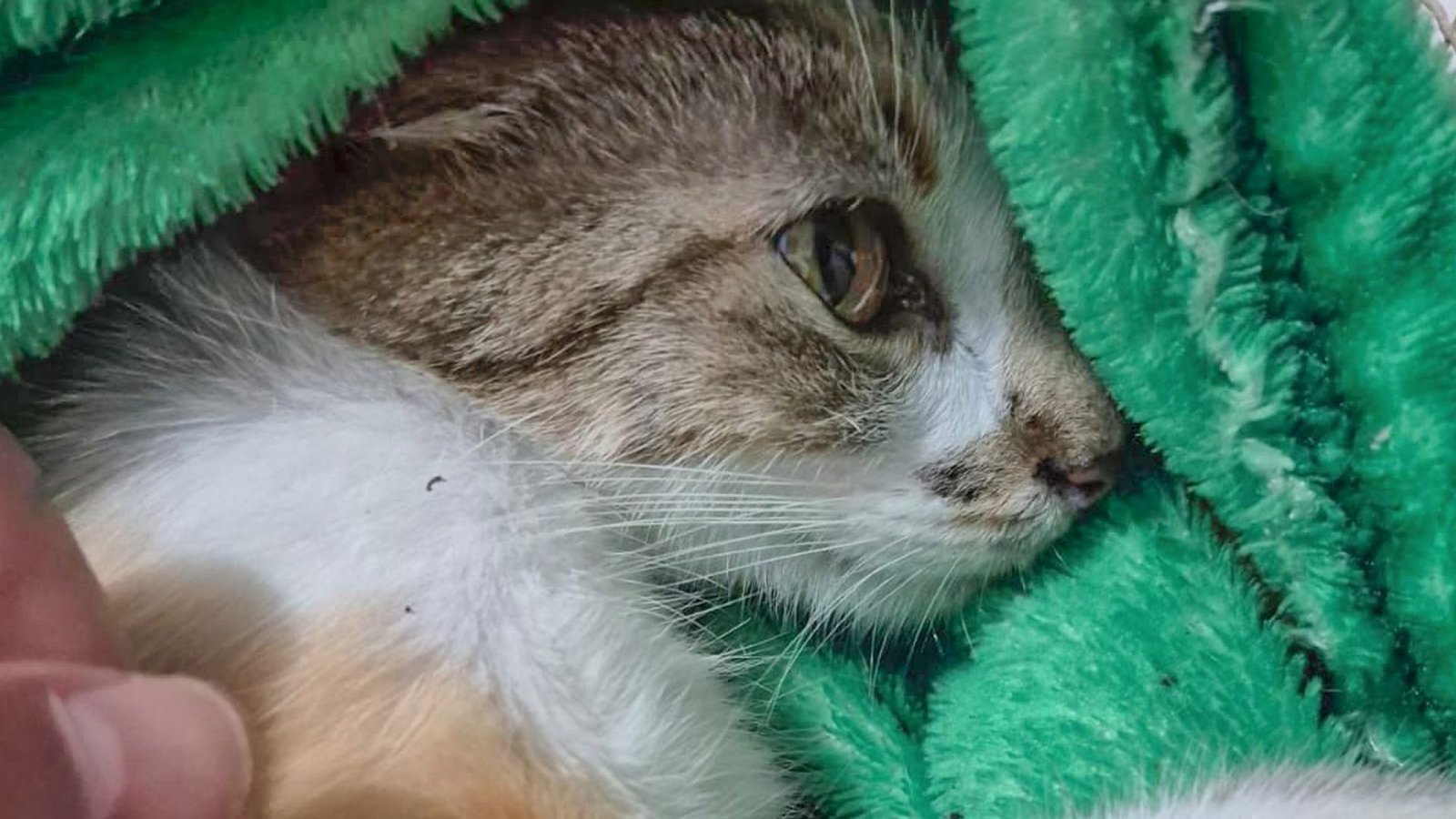 © Polícia Civil do Paraná