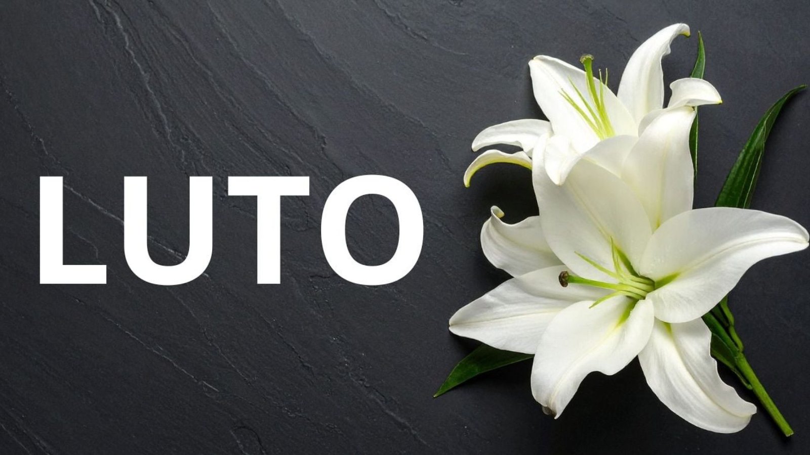 Canva)" style="float:right; margin:0 0 10px 10px;" srcset="https://statics.otvfoco.com.br/2026/03/Il