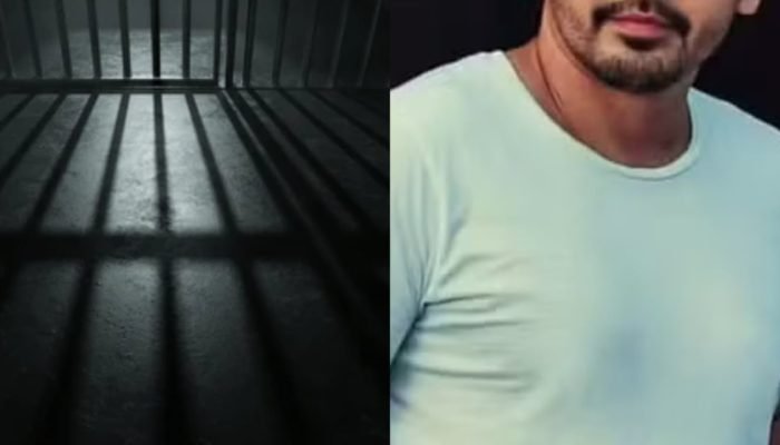 Reprodução/ Internet)
