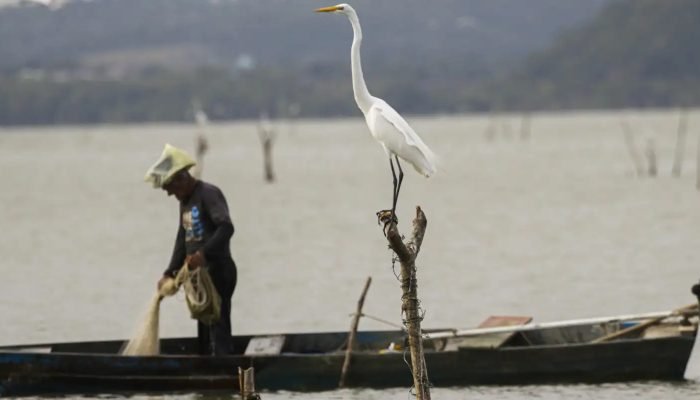© Joédson Alves/Agência Brasil