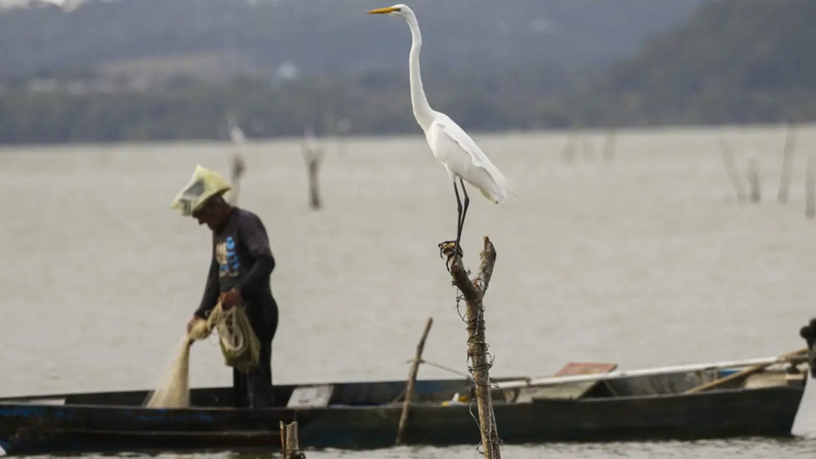 © Joédson Alves/Agência Brasil