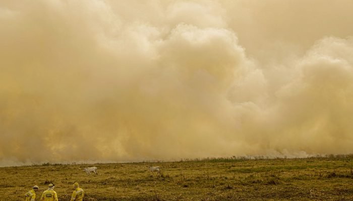 © Joédson Alves/Agência Brasil