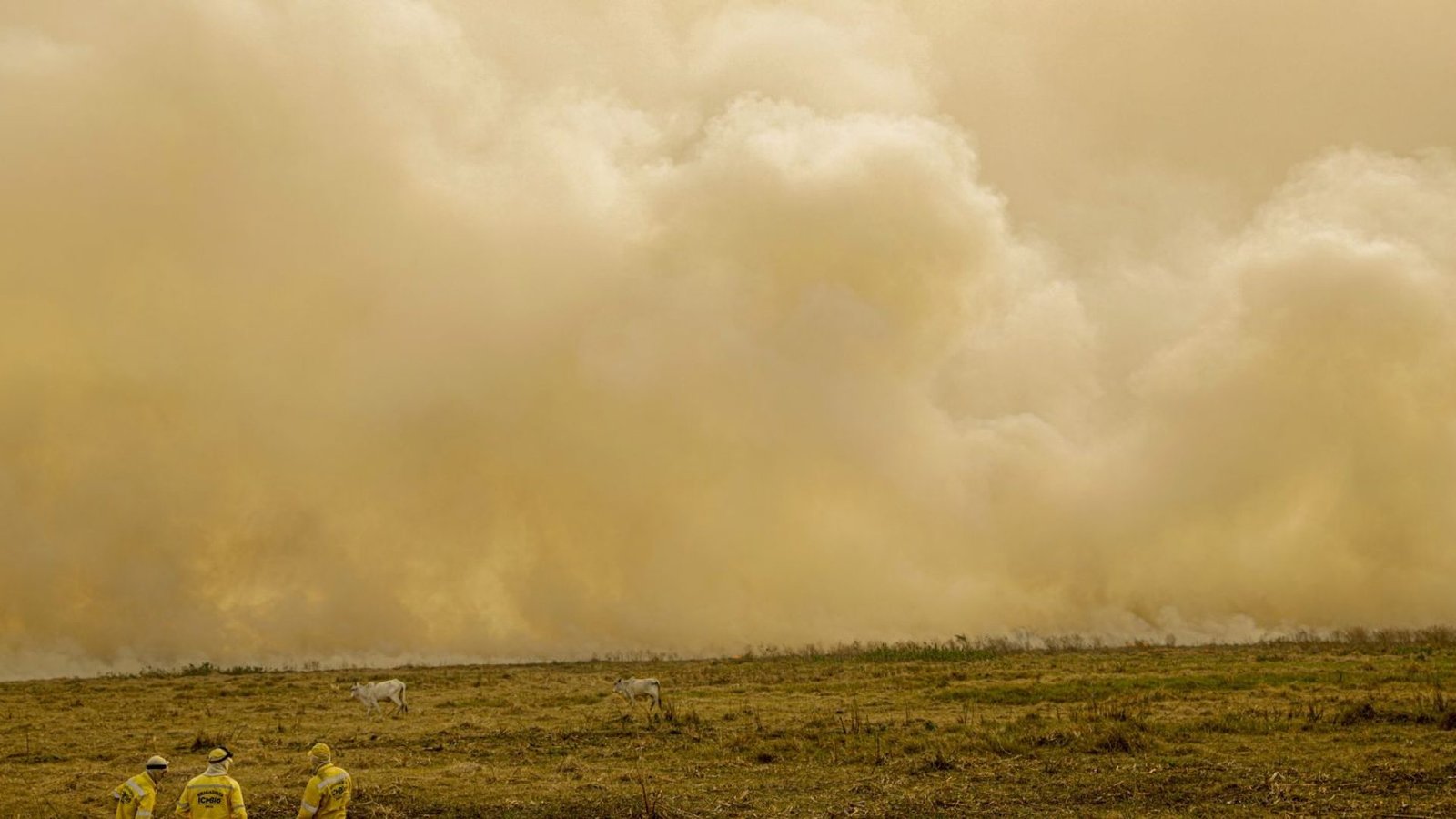 © Joédson Alves/Agência Brasil