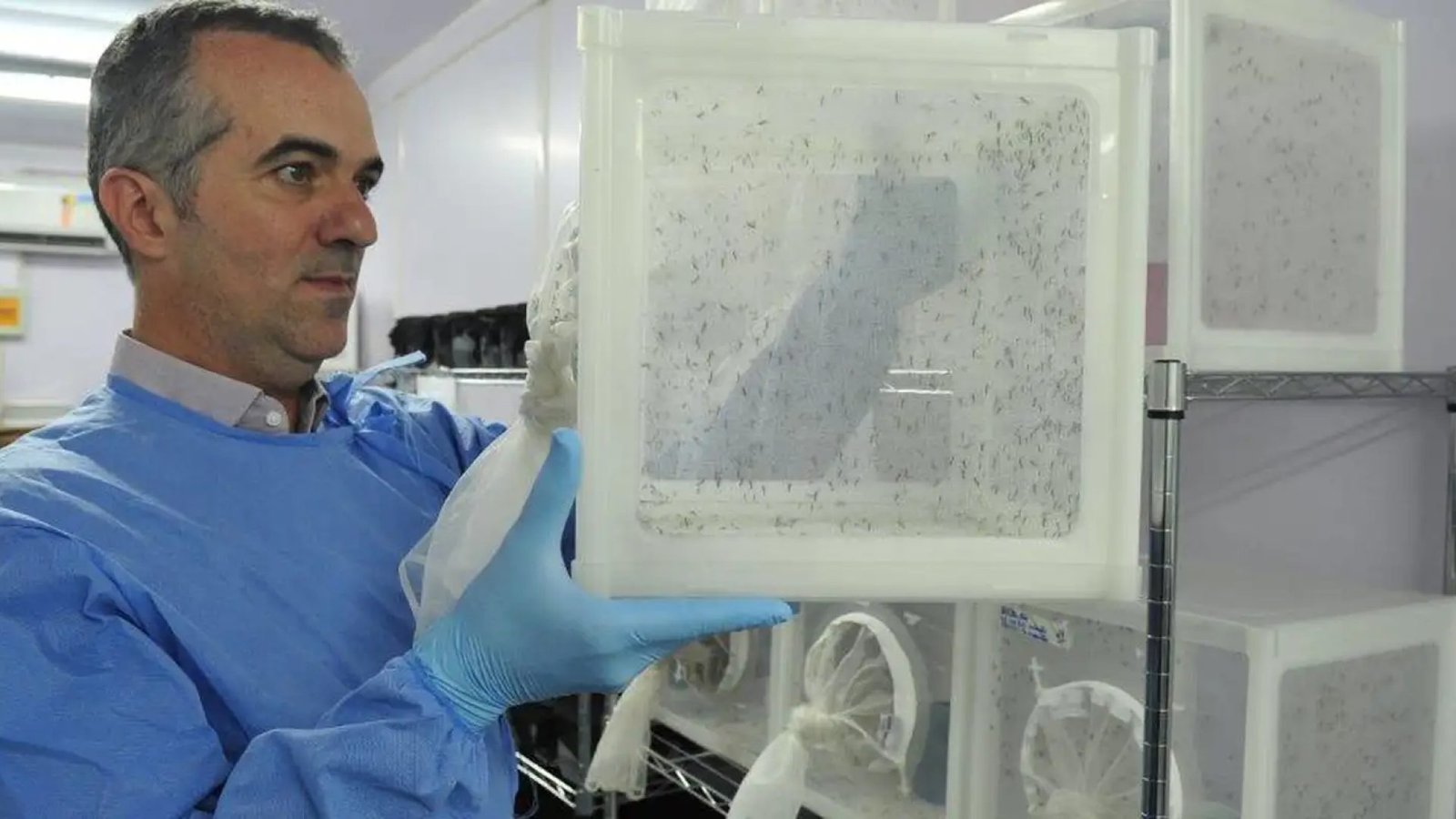 © Peter Ilicciev/WMP Brasil/Fiocruz