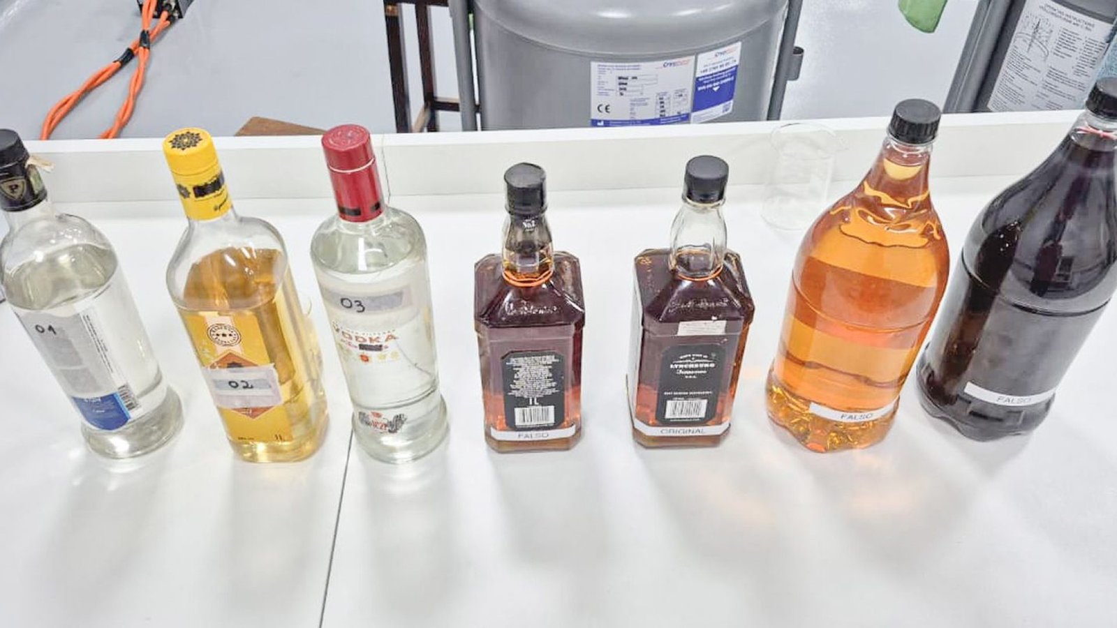 © UFPR/Divulgação