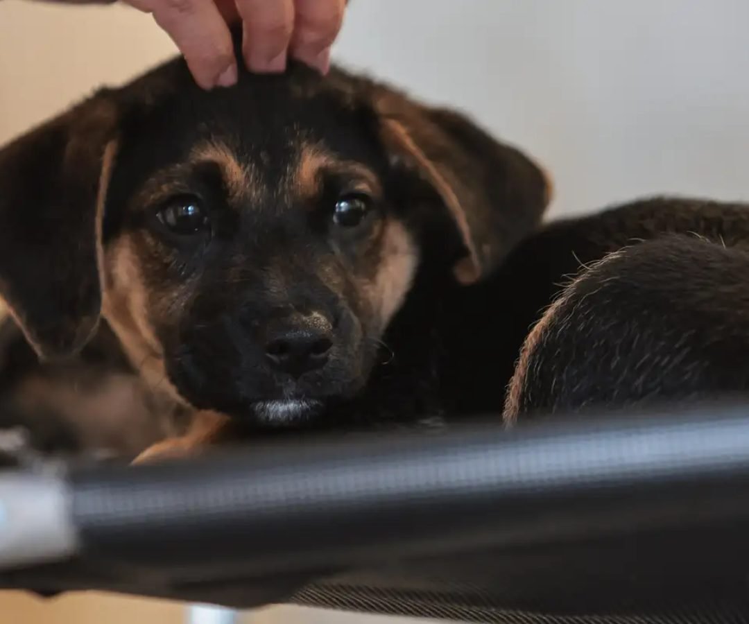 © Paulo Pinto/Agência Brasil