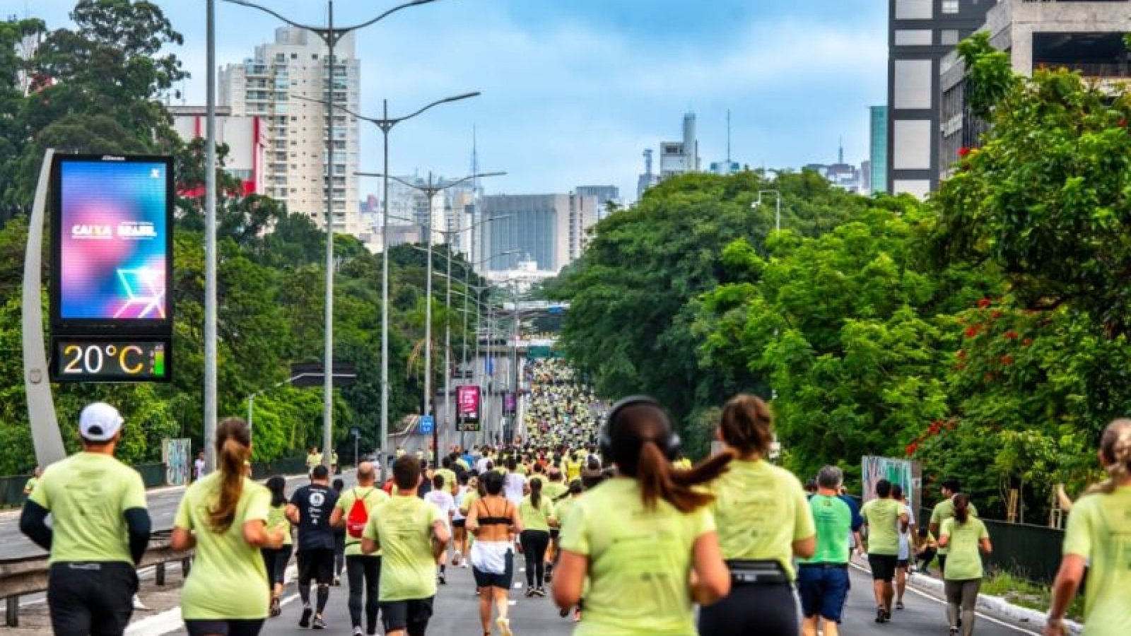 Santander Track&Field; Run Series será neste domingo (19) - Foto: TFSports/divulgação